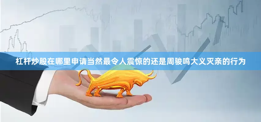 杠杆炒股在哪里申请当然最令人震惊的还是周骏鸣大义灭亲的行为