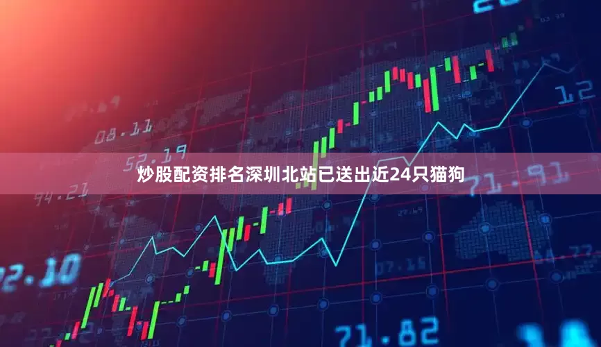 炒股配资排名深圳北站已送出近24只猫狗