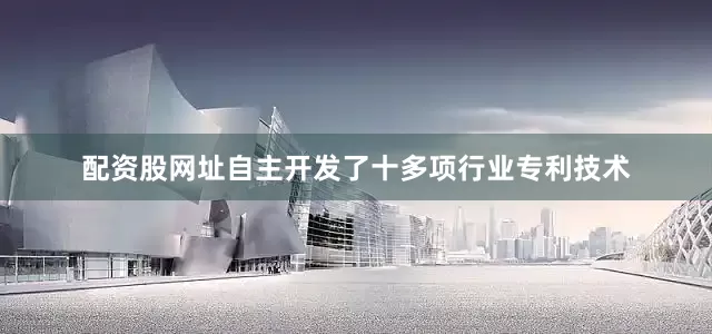 配资股网址自主开发了十多项行业专利技术